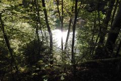 DSCN0971