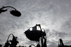 DSC05869