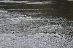 DSC06113