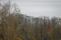 DSC06146
