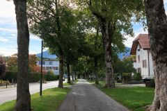 IMG_20260902_093247_304