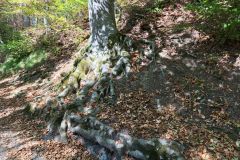 IMG_20260902_111959_415