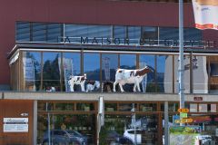 IMG_20260902_144615_541