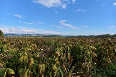 IMG_20260916_094848_099