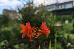 IMG_20260916_104720_163