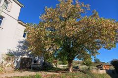 IMG_20260923_085910_005