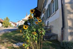 IMG_20260923_091802_030