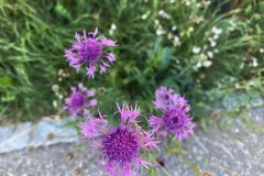 IMG_20260923_092315_043