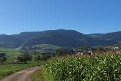 IMG_20260923_092738_052