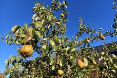 IMG_20260923_094227_078