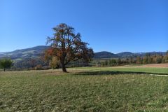 IMG_20260923_095726_109