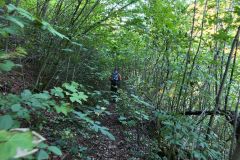 IMG_20260923_101513_133