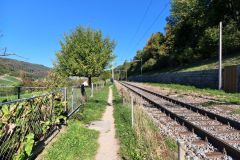 IMG_20260923_103400_161