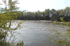 DSCN3509