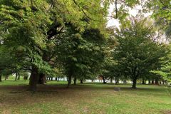 IMG_20260930_105444_074