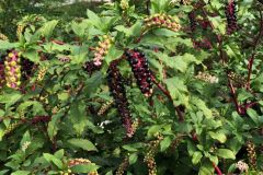 IMG_20260930_112913_126