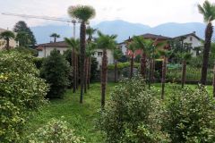 IMG_20260930_114246_138
