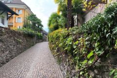 IMG_20260930_135249_209
