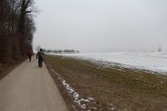 DSCN5899