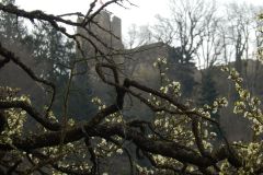 DSCN6363