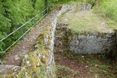 DSCN6597