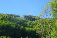 DSC01197