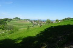 DSC01258