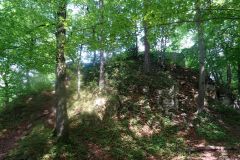 DSC01356