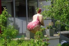 DSC01374