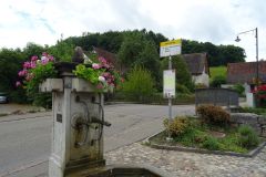 DSC01631