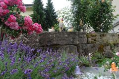 DSC01634