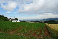 DSC01638