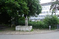DSC01696
