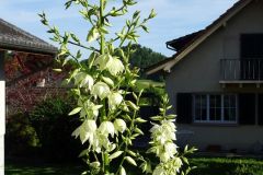 DSC01728