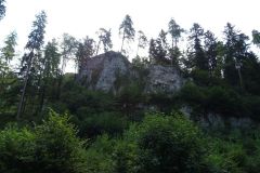 DSC01913