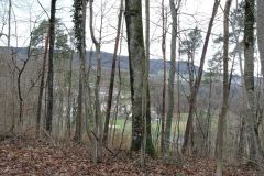 DSCN0044