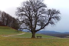 DSCN0889
