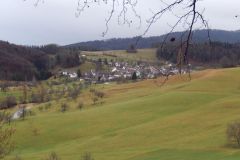 DSCN0893