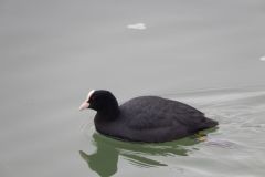 DSCN0917