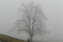 DSCN1140