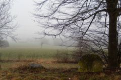 DSCN1160