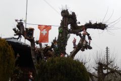 DSCN1171
