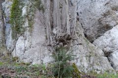 DSCN1339
