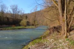 DSCN1359
