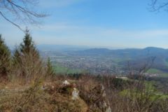 DSCN1371