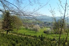 DSCN1487