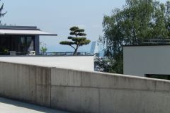 DSCN1674
