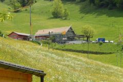DSCN1767