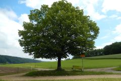 DSCN1854