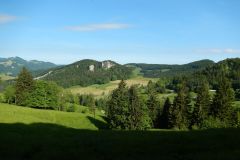 DSCN1904